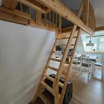 Janovska Apartman Janov nad Nisou