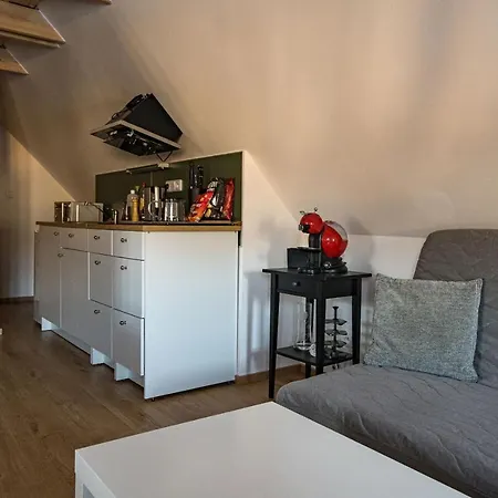 Janovska Apartment *